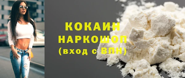 шишки Верея