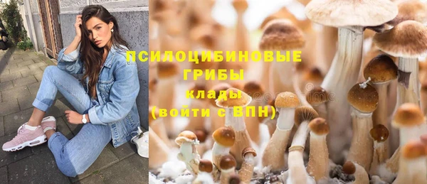 меф Вяземский