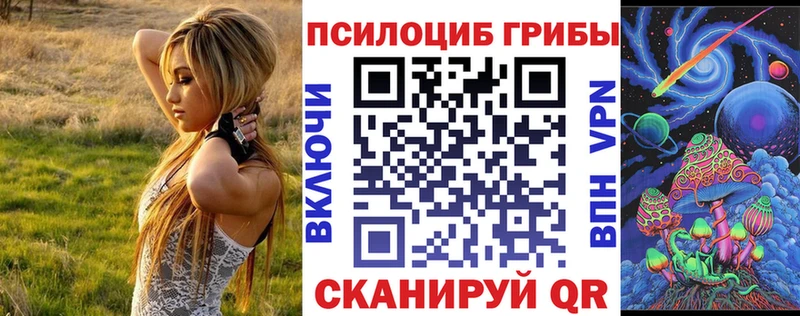 Псилоцибиновые грибы мухоморы  кракен маркетплейс  Великий Новгород 